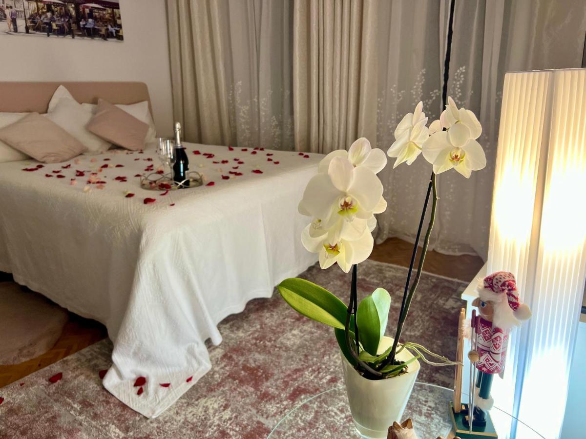 ורוצלב Louis & Elza Old Town Romantic Apartments מראה חיצוני תמונה